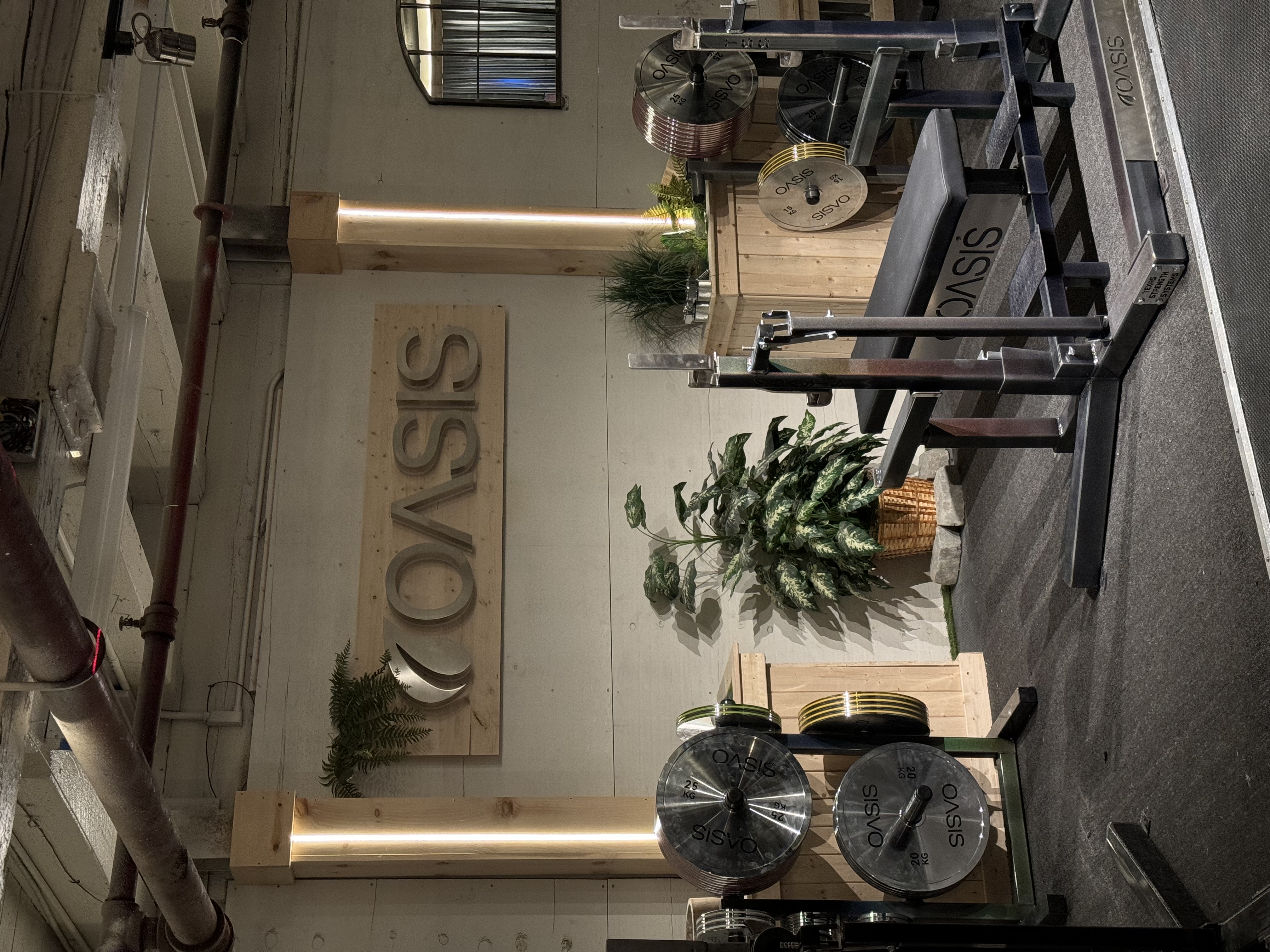 Oasis journey 15
