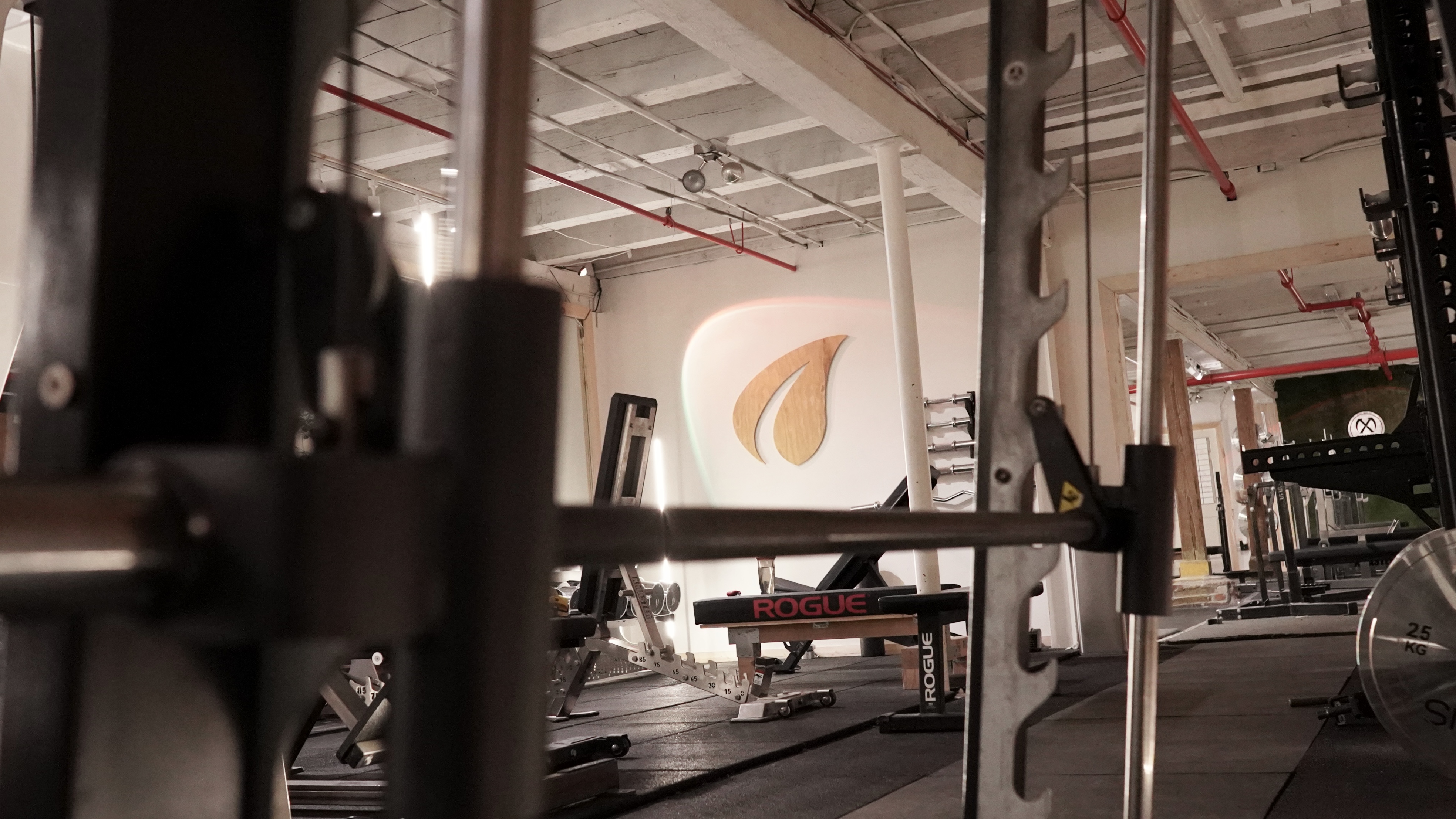 Oasis Gym Photo 4