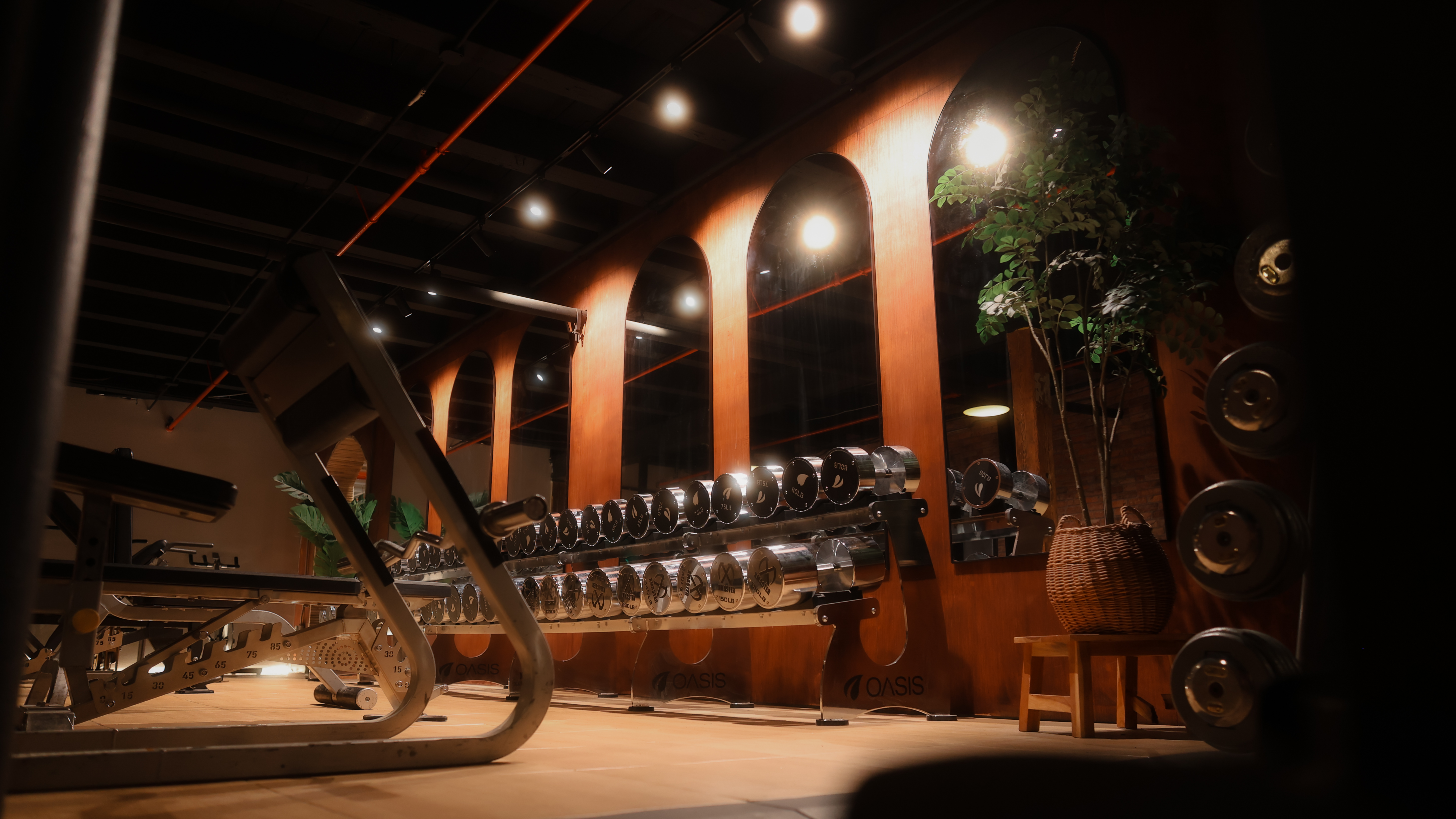 Oasis Gym Photo 10
