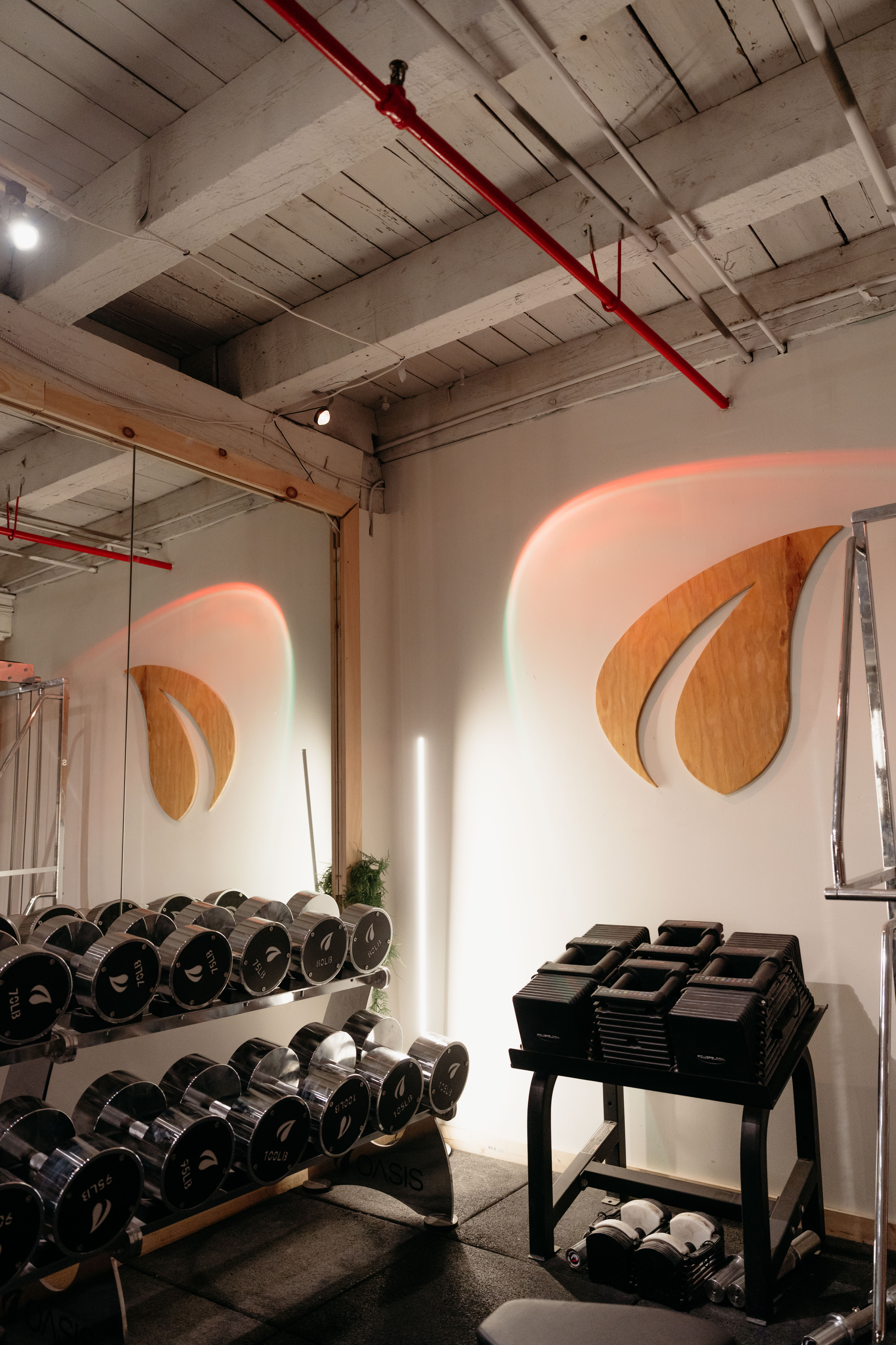 Oasis Gym Photo 6