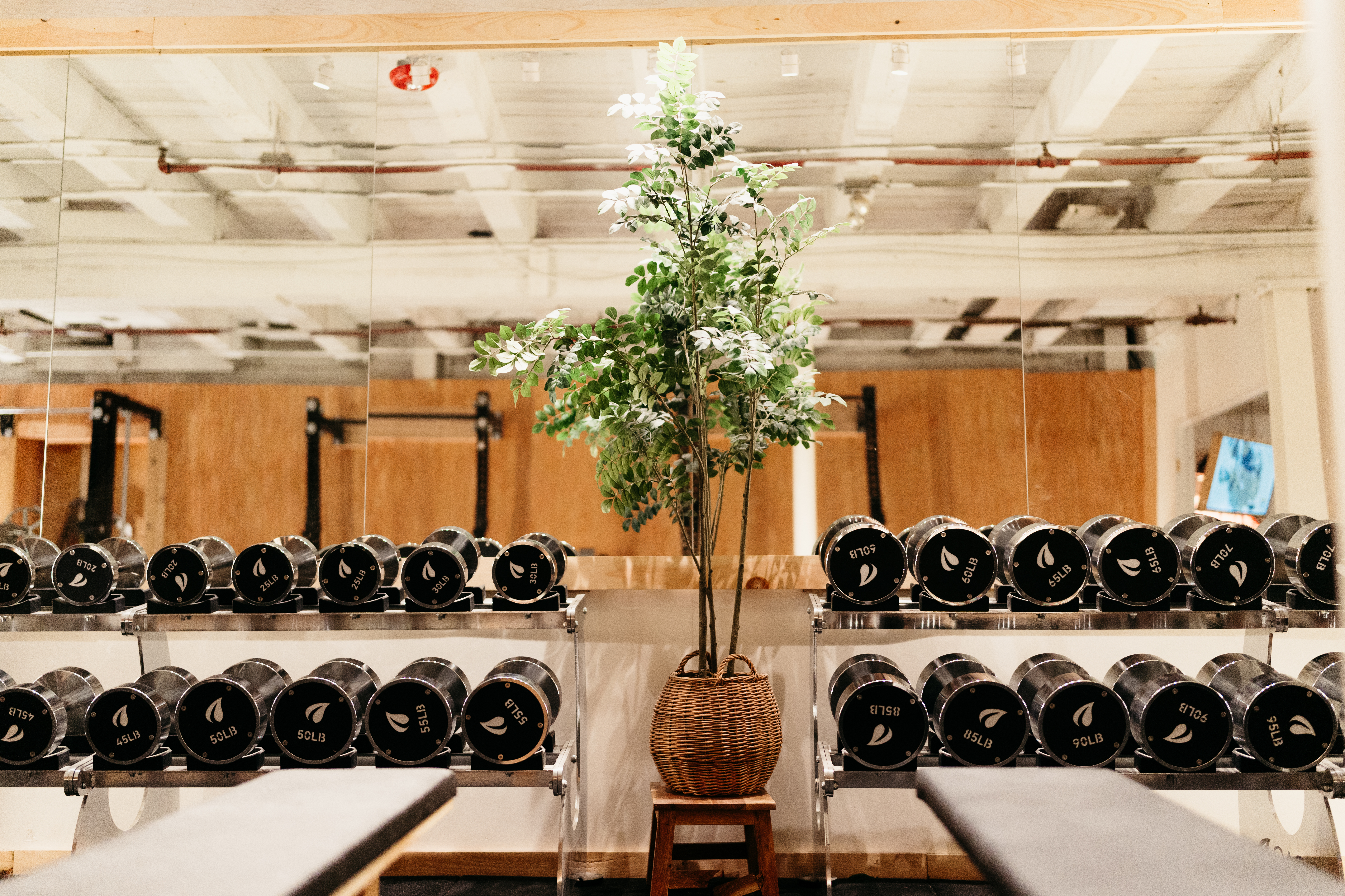 Oasis Gym Photo 12