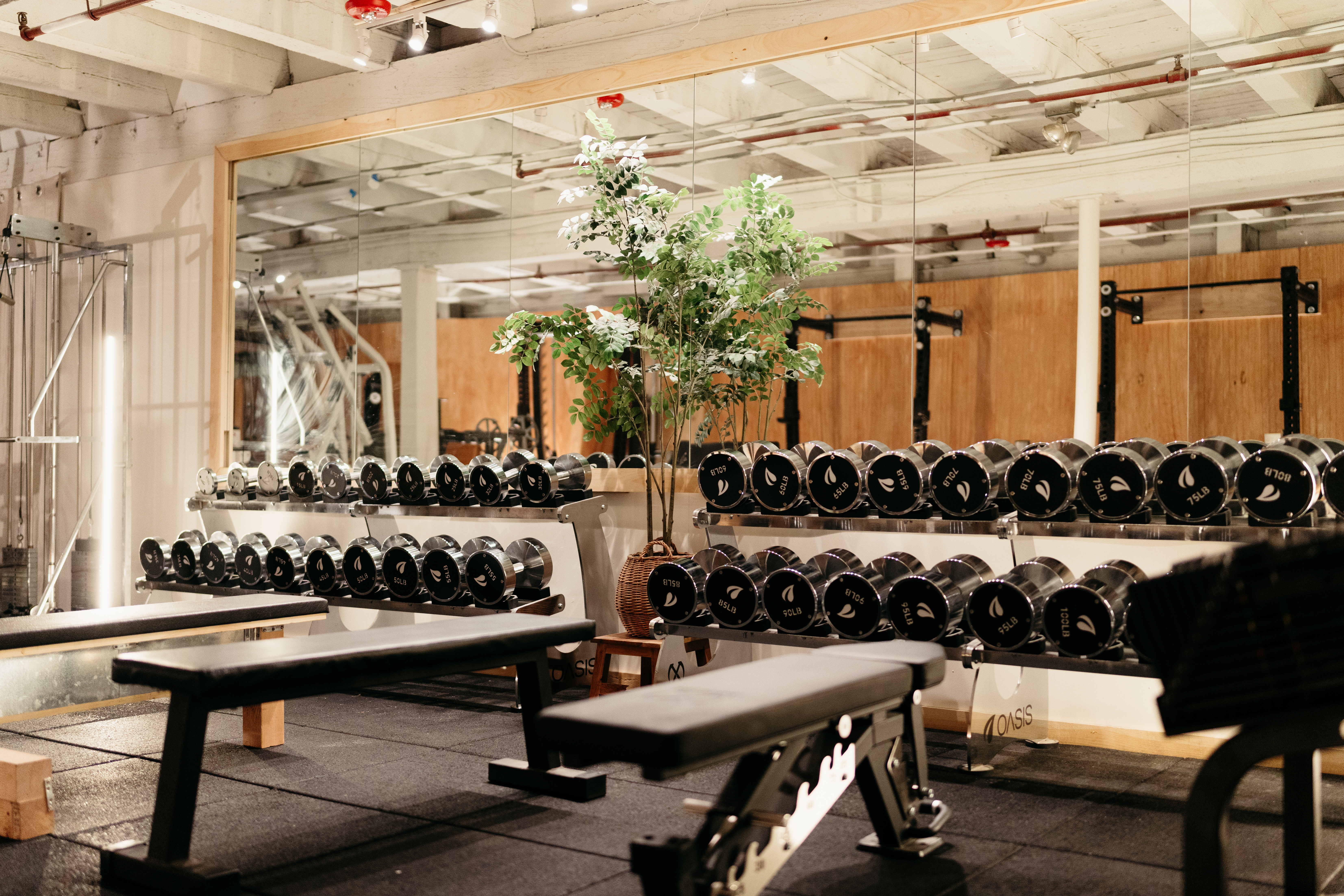 Oasis Gym Photo 13