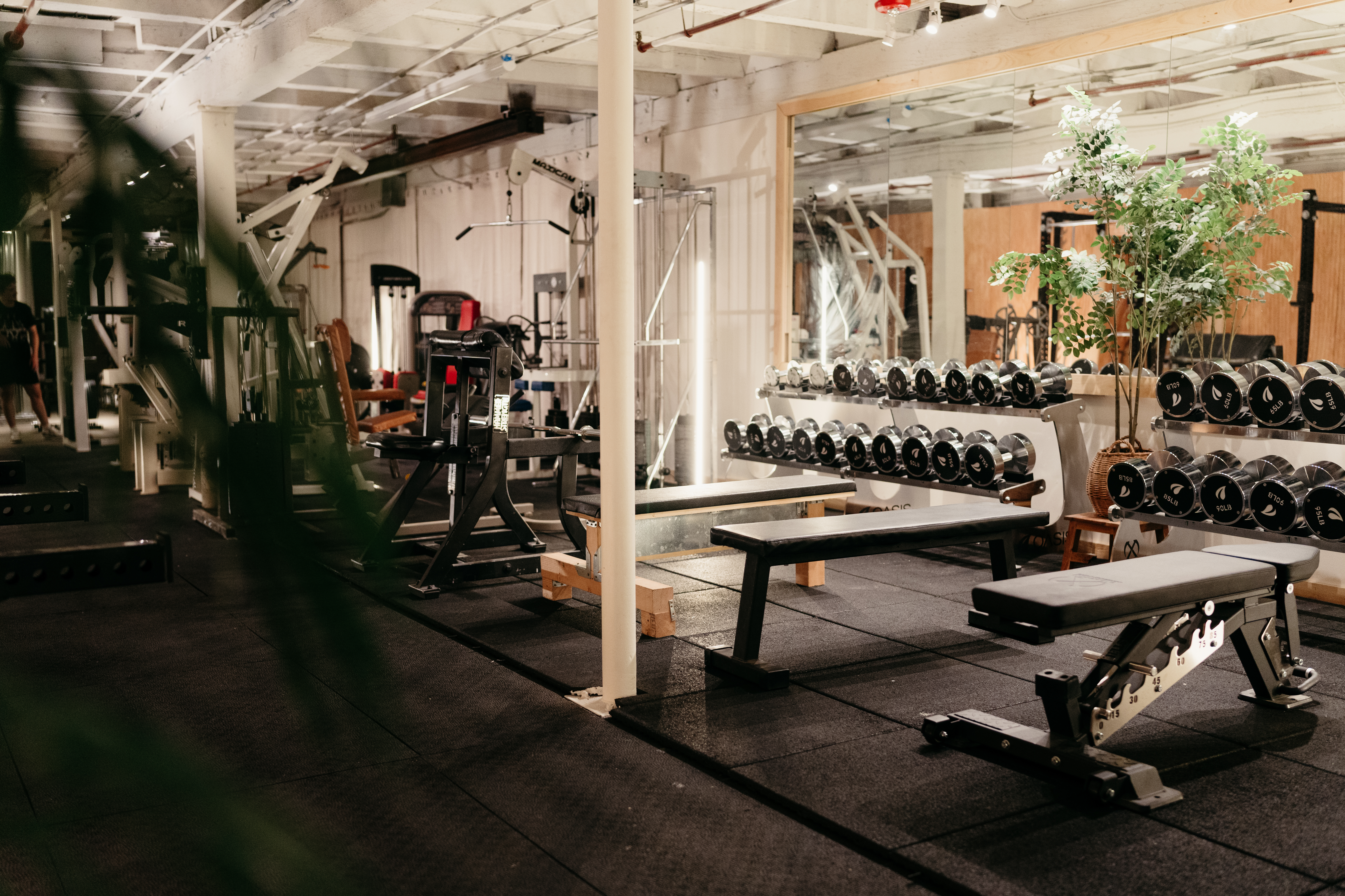 Oasis Gym Photo 18