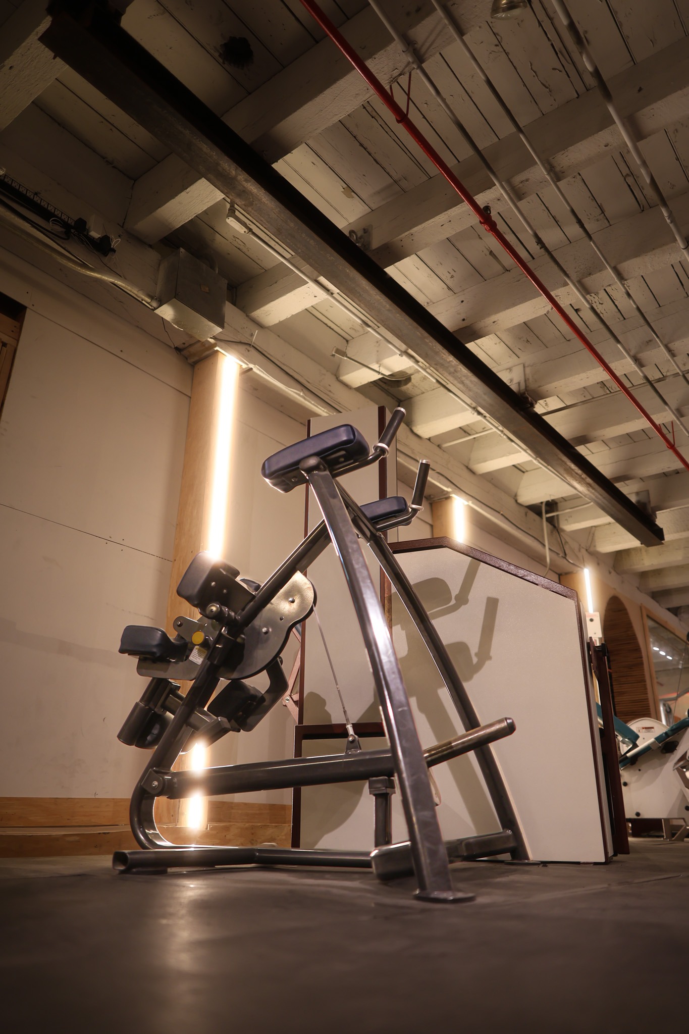Cybex Kneeling Leg Curl
