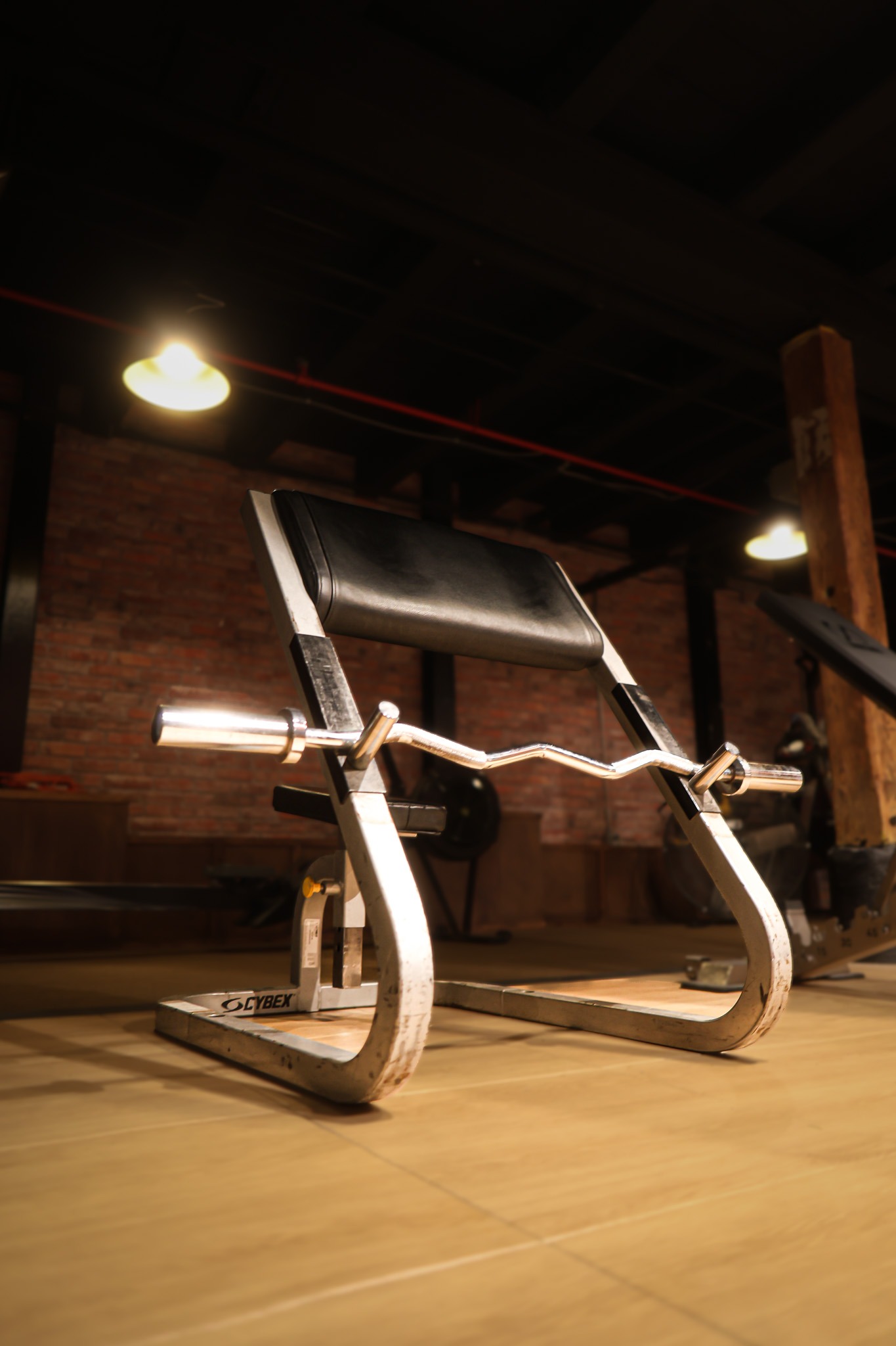 Cybex Preacher Curl Bench