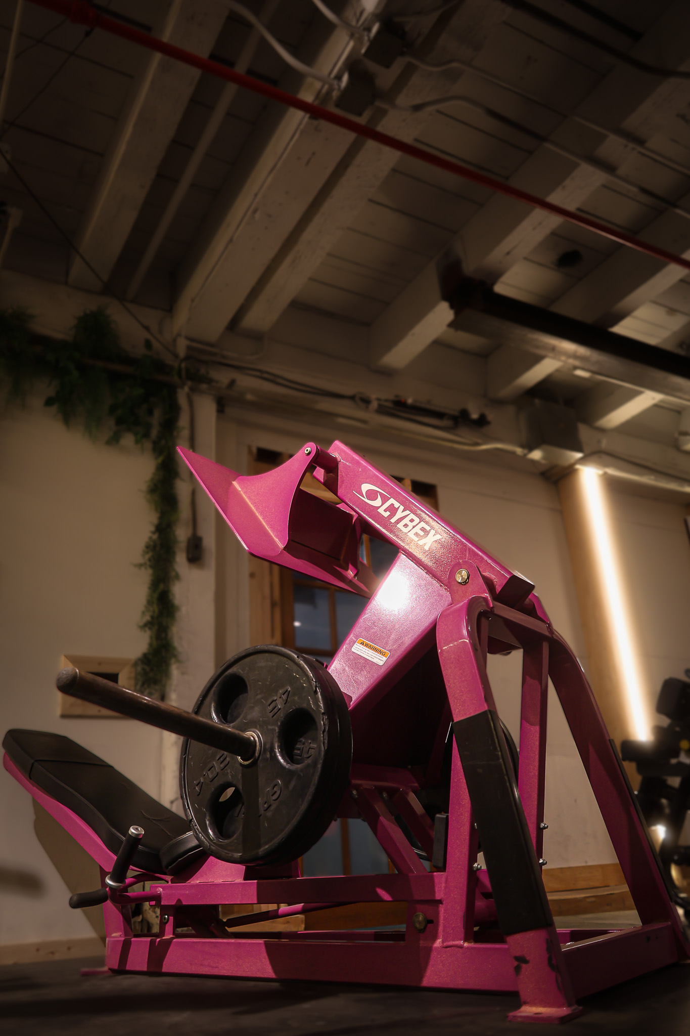 Cybex Squat Press