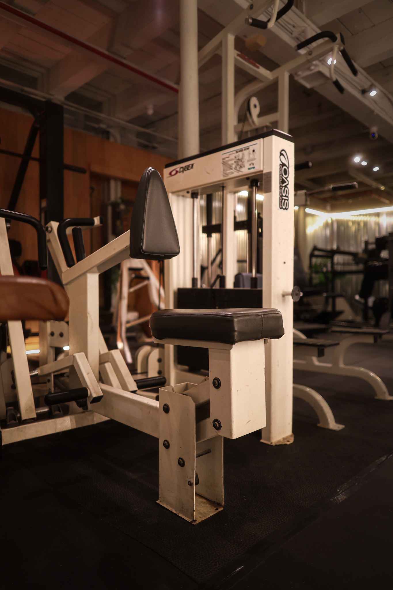 Cybex/Trotter Isolateral Chest Supported Row