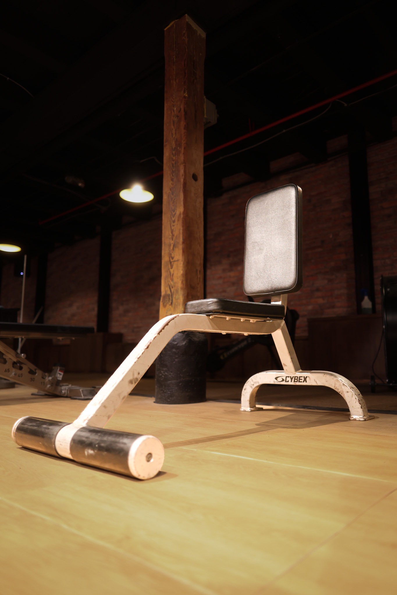 Cybex Utility Bench