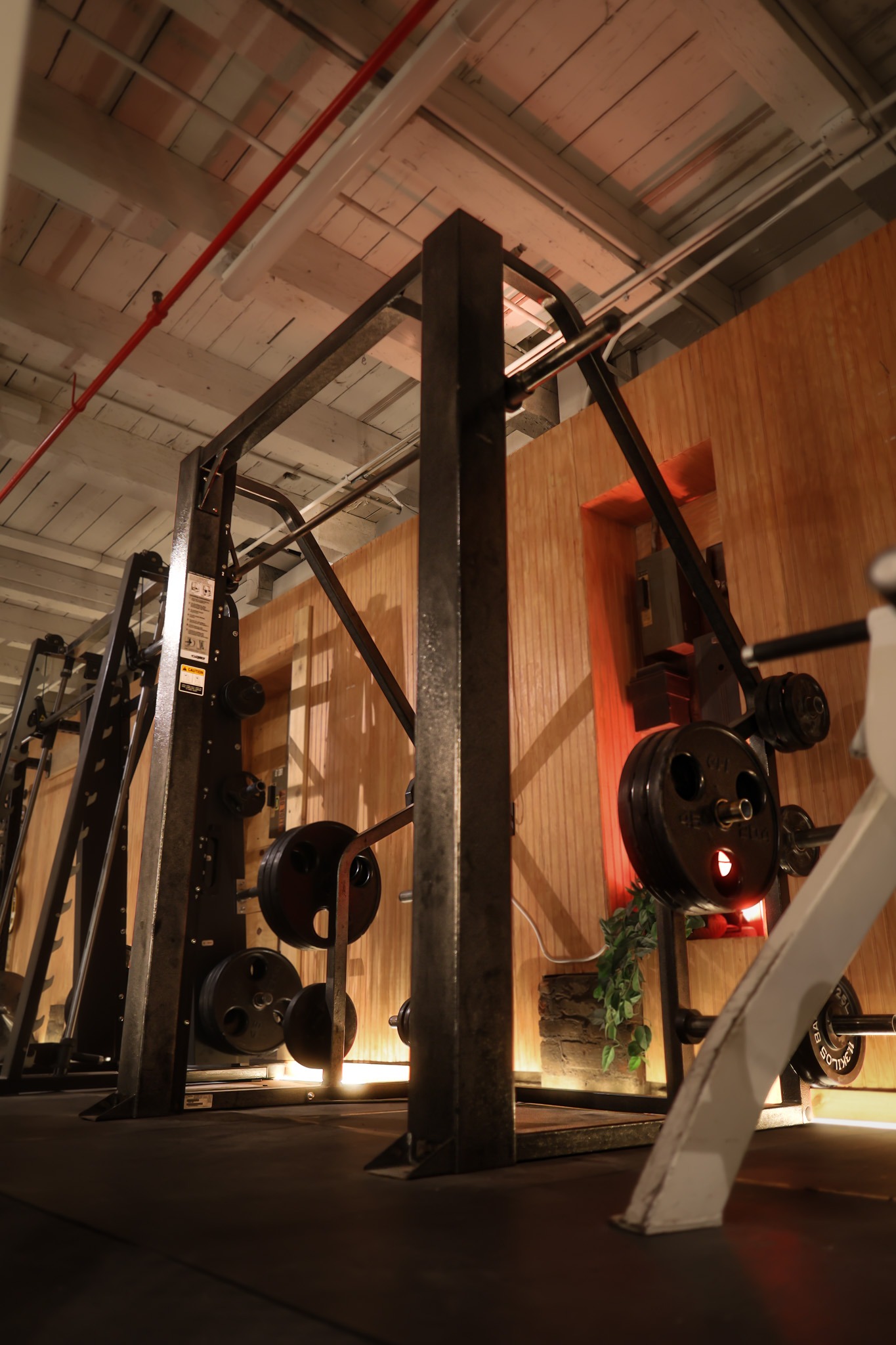 Cybex Gen 1 Vertical Smith Machine
