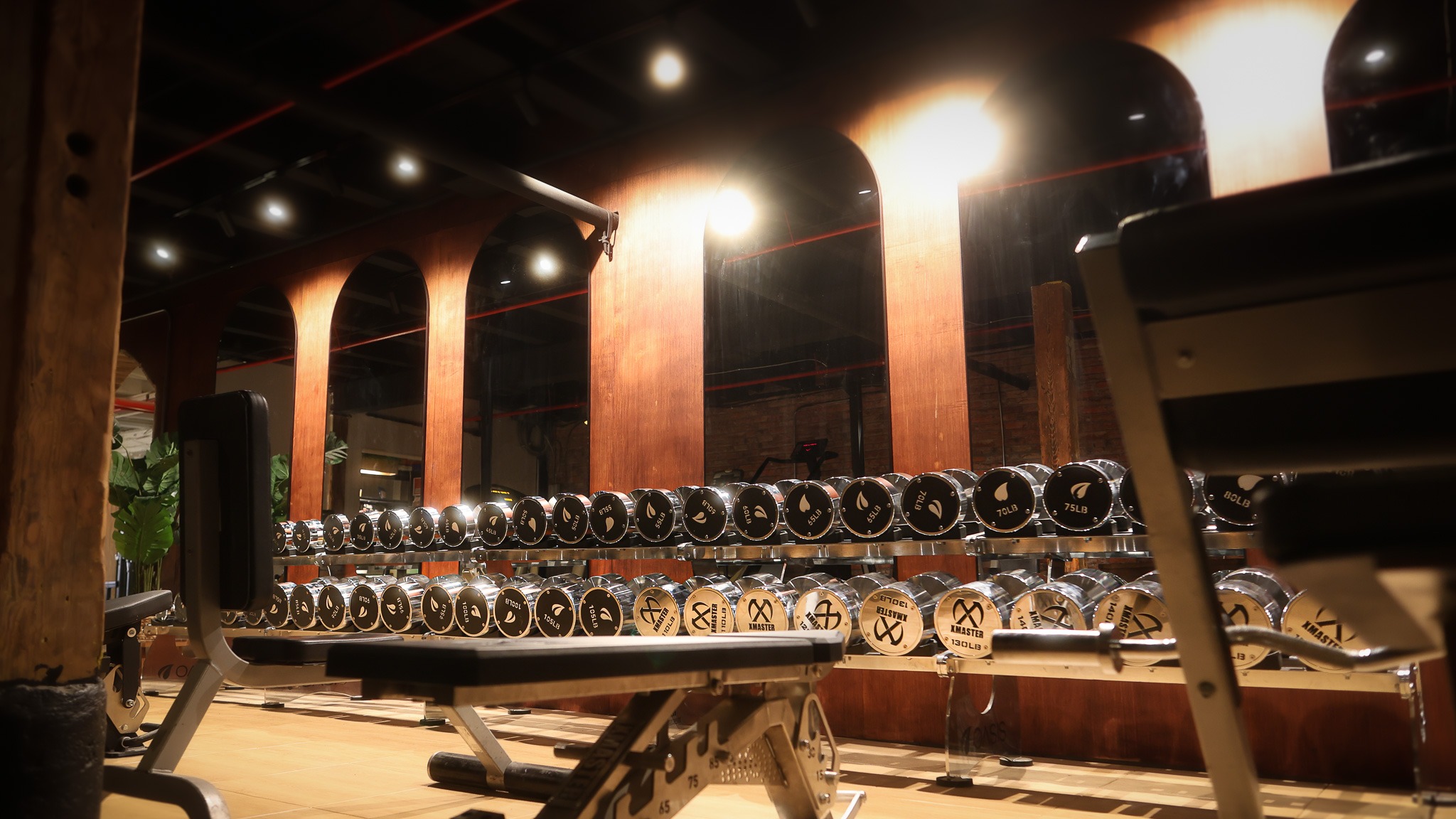 Dumbbell Set (10 - 150 lbs)