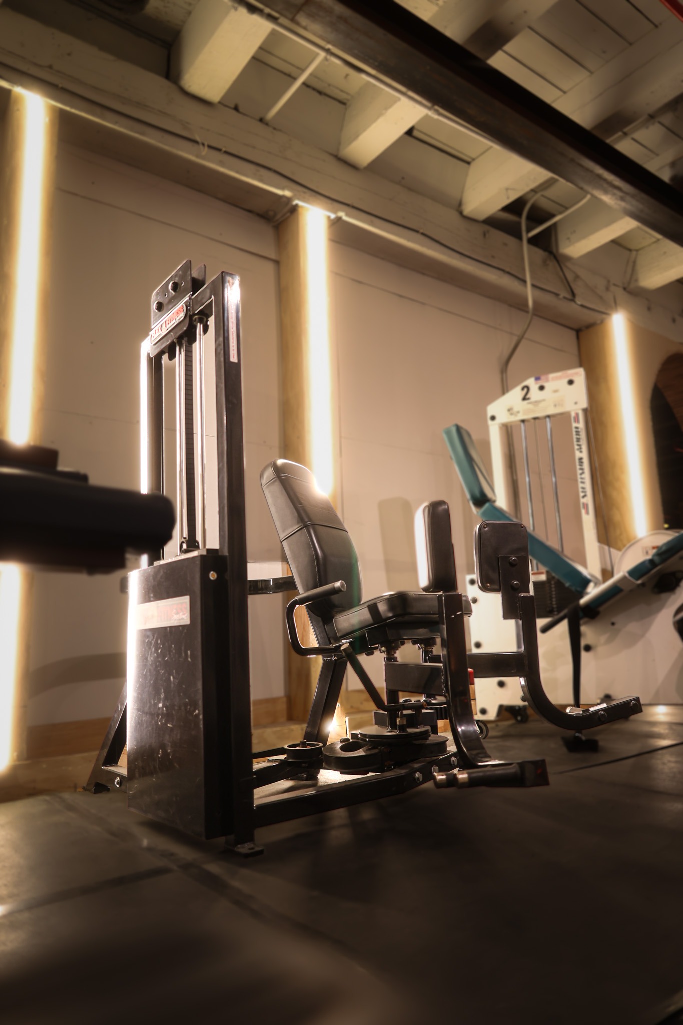 Flex Fitness Adductor