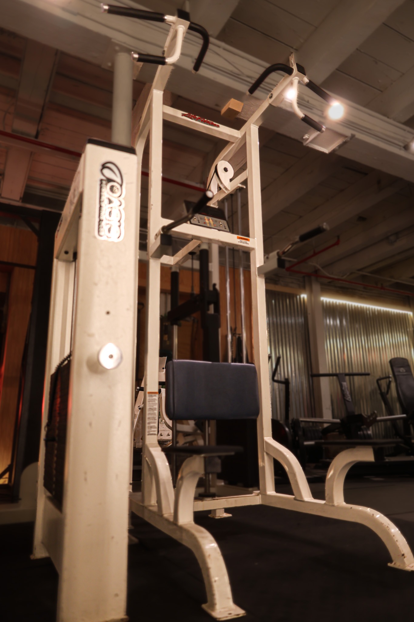 Life Fitness Assisted Pullup / Dip