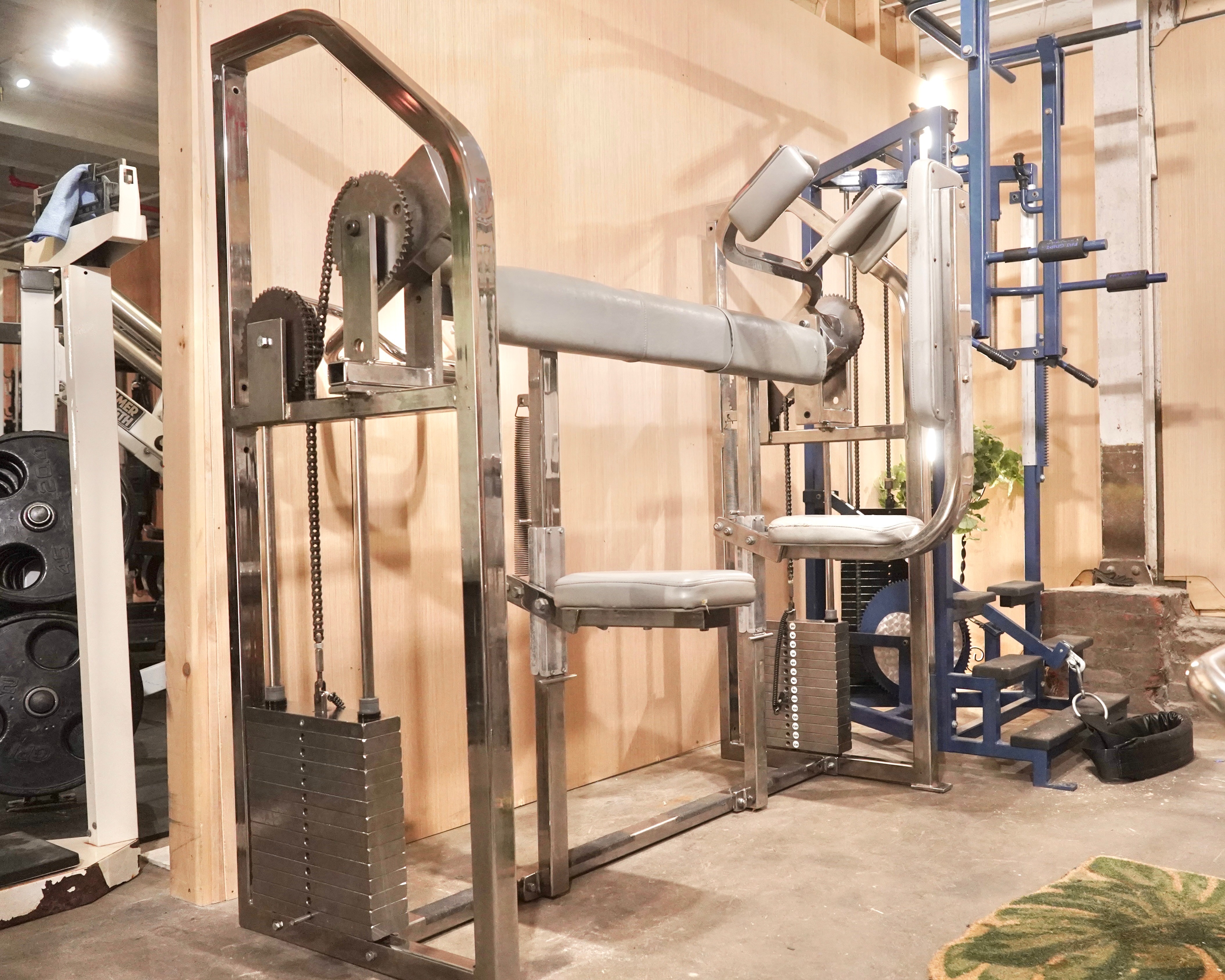 Nautilus Next Gen Bicep Curl