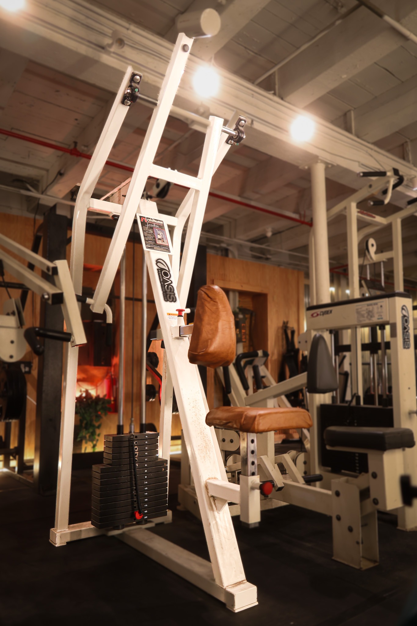 Promaxima Chest Supported Row