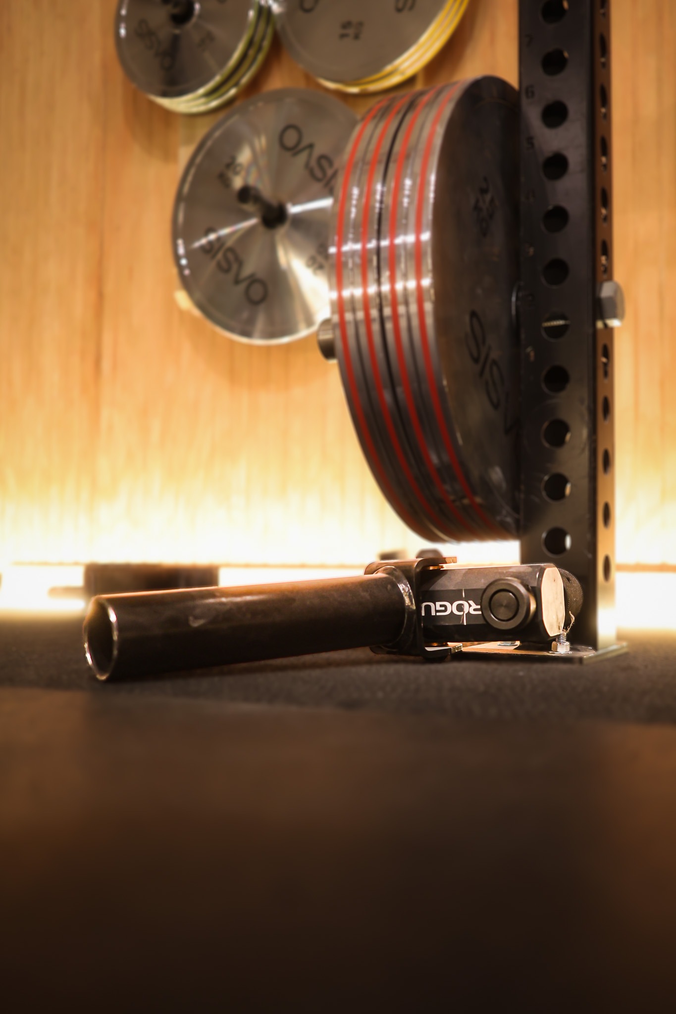 Rogue Landmine