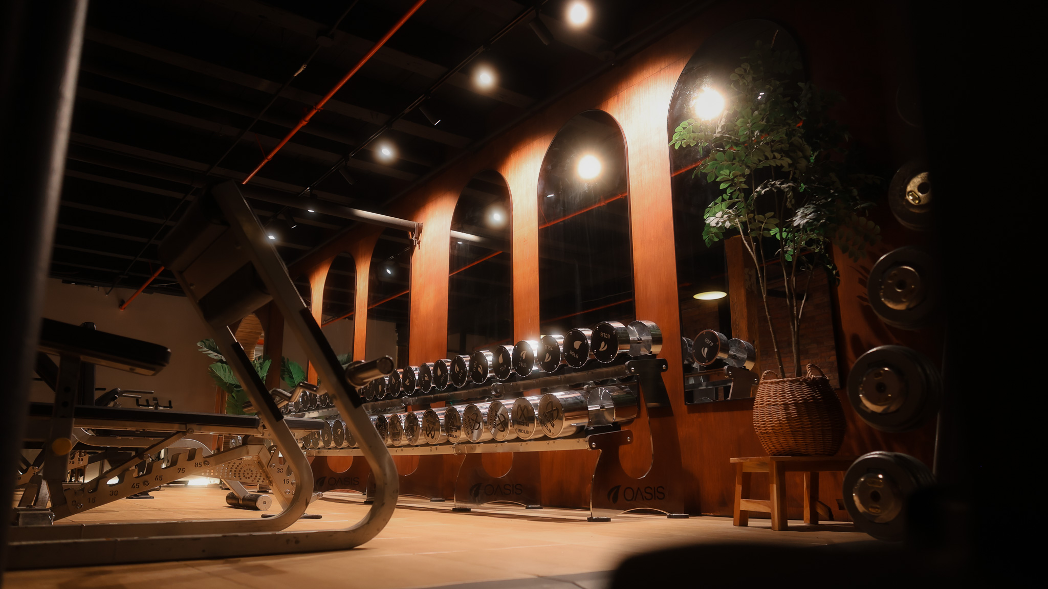 Oasis Gym 0-46