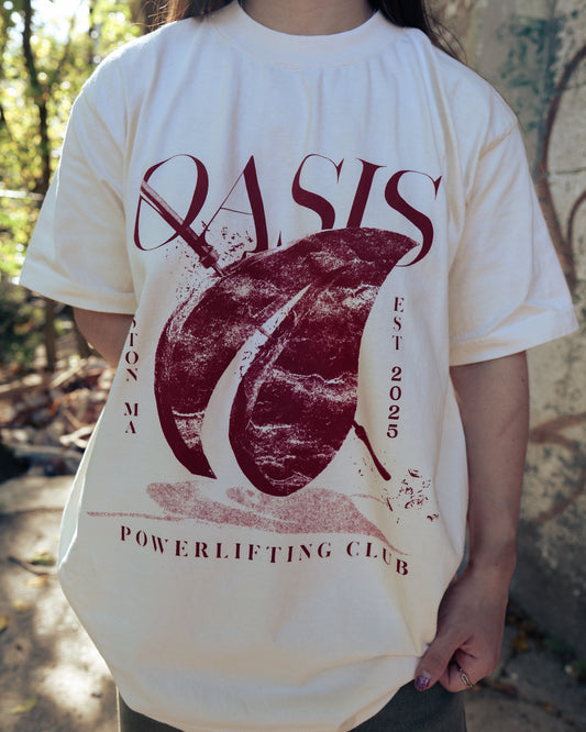 Oasis Heavyweight Lifestyle Tee V2